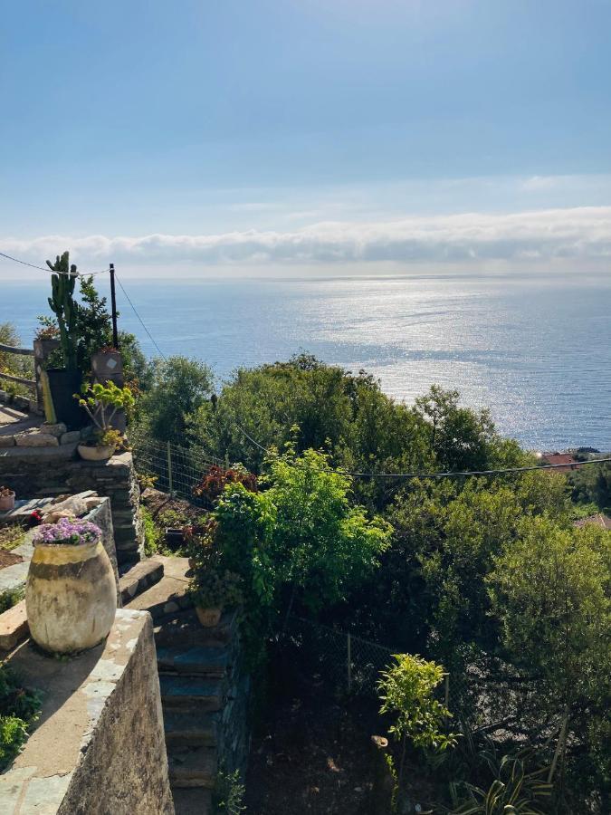 Maison Mediterraneo - Rez De Villa, Vue Imprenable Sur La Mer Pietranera Bagian luar foto